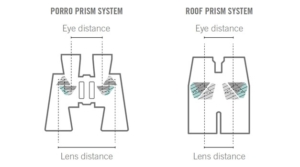 Porro vs Roof Binoculars
